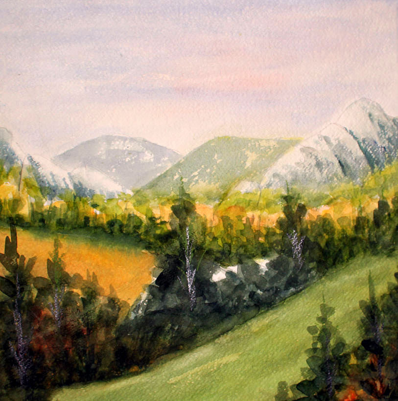 Zvonko Petanović Slavonski Brod